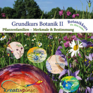 Videokurs: Grundkurs Botanik II
