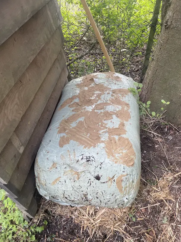 Waldgarten Pilze auf Strohballen
