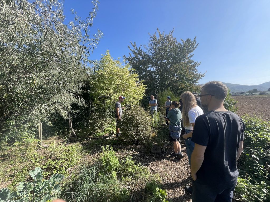 Waldgarten Pflanzen Führung