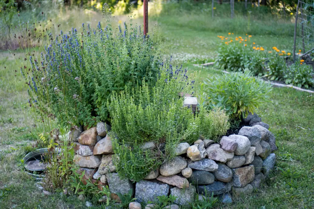 Permakultur Garten Kräuterspirale
