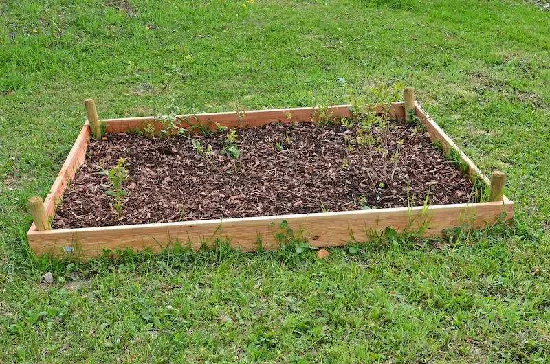 Permakultur Beet Moorbeet