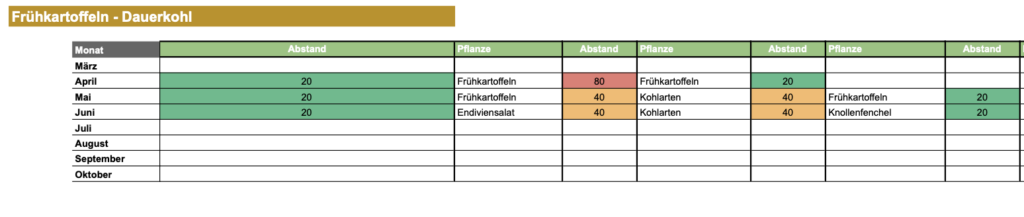 Mischkultur Beet Beispiel