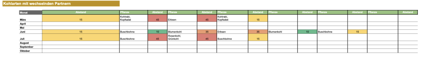 Mischkultur mit Rosenkohl im Beet